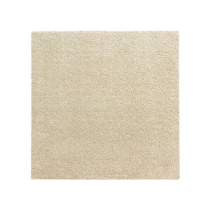 タイルカーペット 50×50cm 正方形 40枚セット 組み合わせ ペット ネコ 猫 犬 子供 赤ちゃん 床 防音 洗える 子供部屋 リビング タイルマット 床暖房対応 厚さ 約9mm パイル おしゃれ 滑り止め 置