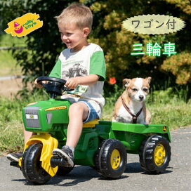 楽天市場】私の家あなたの家 TAGTOYSタグトイ セラピー用プレイハウス 