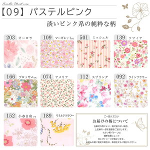 zivL V[g h No4`7 ~bNX 4 Zbg 20 oG[V I[KjbNRbg hz AR  Rbg I[KjbN S M TCY pi ivL A