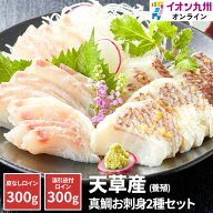 【今だけの特別価格★10/14 20:00~10/19 9:59】 刺身 熊本県 天草産 真鯛 養殖 お刺身用セット 苓南 タイ…