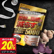 脂肪を減らすダイエットサプリ フラムジンジャー 30日分 カプサイシン カテキン L-カルニチン BCAA 内臓…