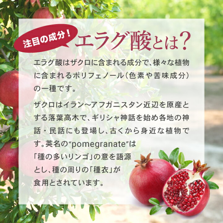 楽天市場】［まとめ割40％OFF］ ダイエットサプリ 肥満気味の方の脂肪 
