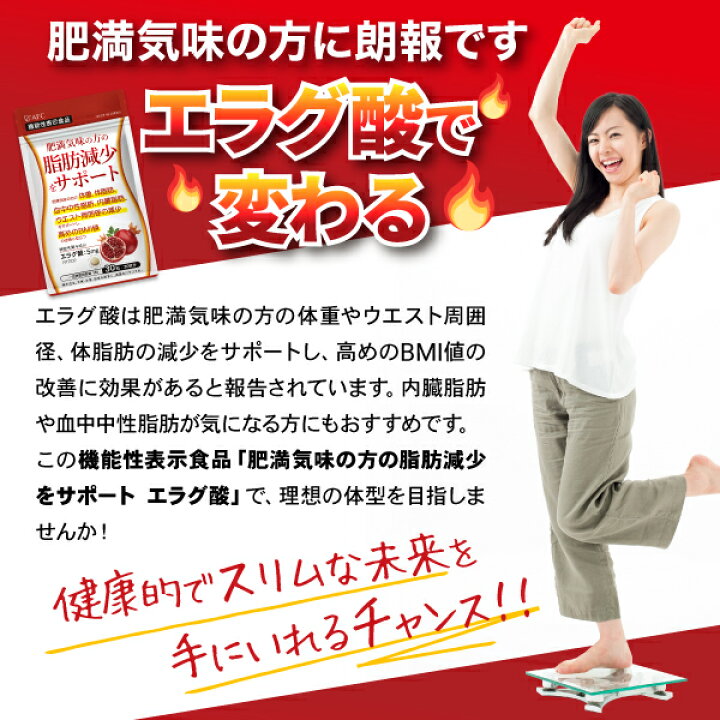 楽天市場】［まとめ割40％OFF］ ダイエットサプリ 肥満気味の方の脂肪 