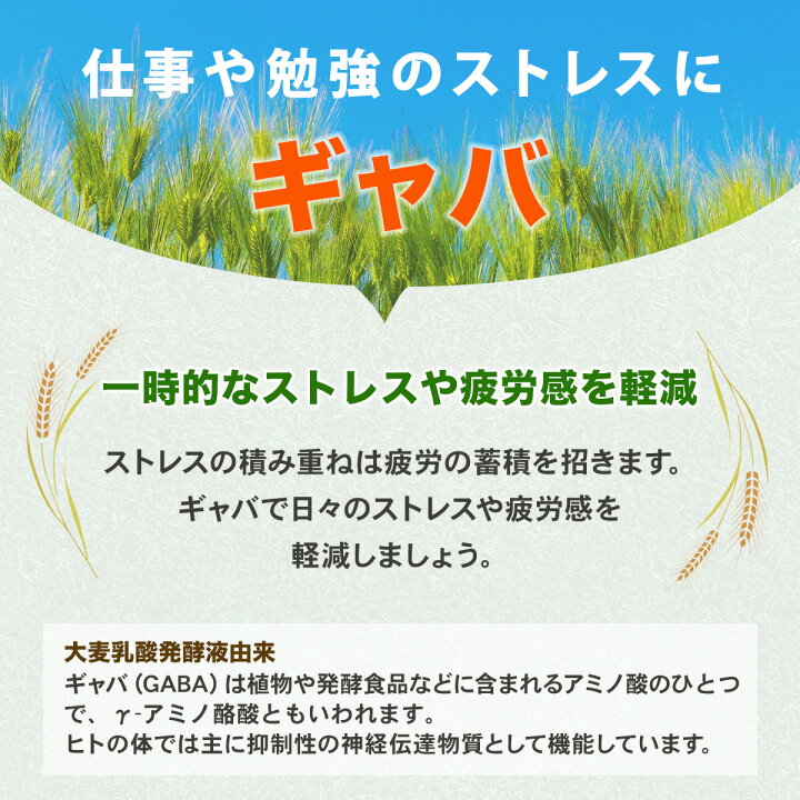 楽天市場】［まとめ割40％OFF］ めぐみのルテイン30 サプリ 30日分 6個 