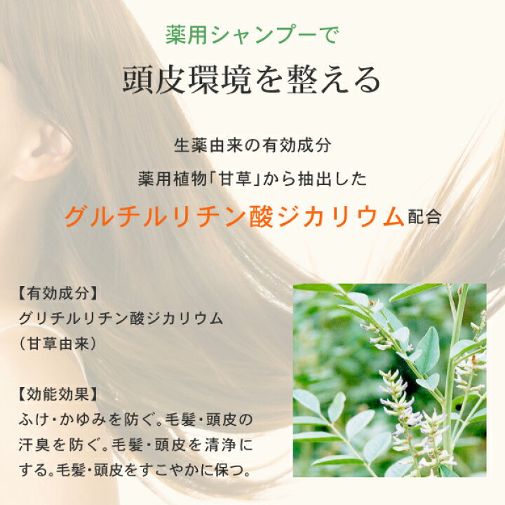 楽天市場】AFC 薬用アミノ酸シャンプー爽快柑 150mL ※初回限定※【1世帯様2本まで】【送料無料】無添加 ノンシリコン お試し リンス不要 シャンプー 爽快柑 : 品質本位の健康食品エーエフシー 楽天市場】AFC 薬用アミノ酸シャンプー爽快柑 150mL ※初回限定※【1世帯様2本まで】【送料無料】無添加 ノンシリコン お試し リンス不要 シャンプー 爽快柑 : 品質本位の健康食品エーエフシー