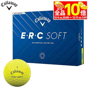 yX[p[SALE قڑSiP10{{ő1~OFFN[|Iz@LEFC EEREC SOFT ERC\tg St{[ 1_[X i12j gvEgbN CG[ [2025Nf]