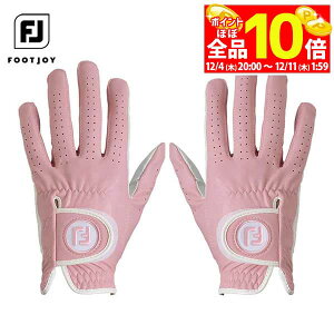 yX[p[SALE قڑSiP10{{ő1~OFFN[|Iz@[2025Nf] tbgWC fB[X NANOLOCK for Lady imbN fB p StO[u FGNL4PR PK sN