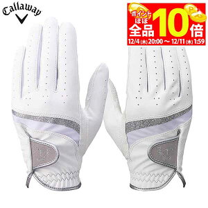 yX[p[SALE قڑSiP10{{ő1~OFFN[|Iz@[2025Nf] LEFC fB[X STYLE DUAL WMS X^C fA p StO[u 25 JM zCg/O[