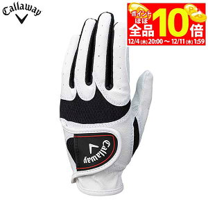 yX[p[SALE قڑSiP10{{ő1~OFFN[|Iz@[2025Nf] LEFC WjA WARBIRD JUNIOR EH[o[h StO[u 25 JM zCg