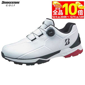 yX[p[SALE قڑSiP10{{ő1~OFFN[|Iz@[2025Nf] uaXg Y ZSP-BITER WIDE BOA [EXpCN oC^[ Ch {A XpCNX StV[Y SH2507 WK 