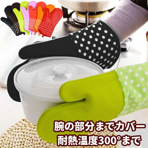 yV1ʊlI2Zbg ϔM300 Lb` VR O[u ܁@I[u~g  VR 100%ȁ@ϔMh@~߁@E茓p 19×33cm DM֔