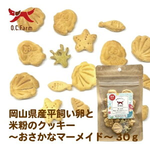 I[V[t@[@ƕĕ̃NbL[@}[Ch@30gyYz y3980~ȏエグőz@Y@p@dog hbO @J !