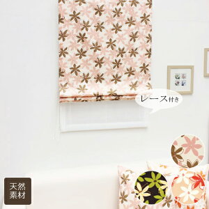 yz[}VF[h _u JtȖkԕ  (Rbg) 100% _uVF[h