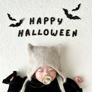 Airiey HAPPY HALLOWEEN banner z ؐ ^[oi[ nEB  ˂˃tHg IׂJ[ 