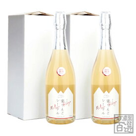 2020年産仕込み蜜りんごシードル750ml×2本セット（12-D）