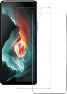 2 Xperia10ii p KXtB SO-41A SOV43 KXtB CA[/Ȃ/\tȒP GNXyA10 }[N2 KX tیtB