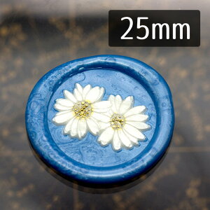 V[OX^vwbh 1100646uЂȂv2.5cm wbĥ X ^J ^イ X^v e }[S[h