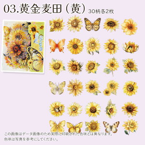 �E�� �_�C�J�b�g�����z���V�[�� 1100779�u�×����C�v60������ ���b�s���O �R���[�W���f�� �����V�[�� PET�V�[�� �L���L���V�[�� �z���O�����V�[�� �z���V�[�� ���X ���傤���傤 �`���E�`���E 