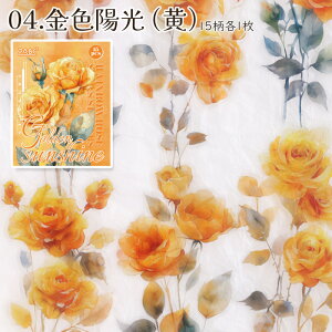 ZABC@_CJbgV[ 1100788uKNv15 ỏԂ̃V[ bsO R[Wf PETV[ d˓\ ̂V[ ỏԑ ΂ KN rose [Y