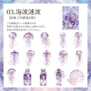 ZABC@_CJbgV[ 1100790uCmcv30 炰̃V[ NQ C bsO R[Wf V[ PETV[ Cm`[t 񂬂 ߂ t@^W[