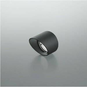 XE57193 �t�[�h ���󒍐��Y�i �R�C�Y�~�Ɩ� �Ɩ����