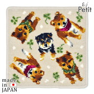 日本製ハンカチ タオルハンカチ シェニール織 柴犬 アーンジョー ギフト