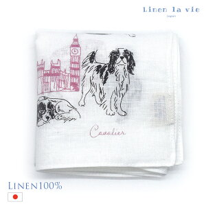 { l nJ` CMX LoA LittleTrip  ObY hbO 100% 唻 C~ ٓ ډB lB A[W[ Mtg v[g SDGs
