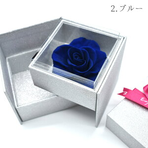  o vU[uht[{bNX Iׂ A[W[ v[g Mtg  L[P[X ANZT[P[X  a LO   c  ʐ^ ʐ^  {