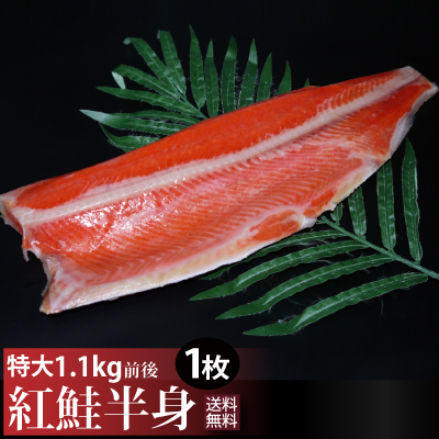 天然紅鮭半身1.1kg前後 特大で脂のり良し！天然の焼き用紅鮭甘塩