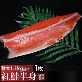 【送料無料】天然紅鮭半身1.1kg前後 特大で脂のり良し！天然の焼き用紅鮭甘塩