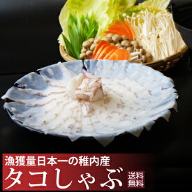 【送料無料】稚内産たこしゃぶ500g箱タレ付 発祥の地、稚内産のタコを使用した元祖たこしゃぶ