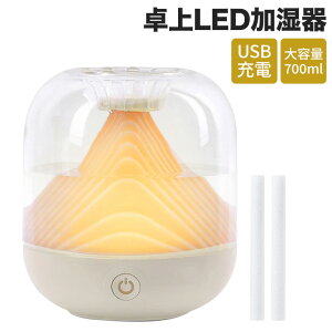 2024N 铔 LED   R[hX e 700ml 2[h A}fBt[U[ USB[d g  铔 A}Ή 󕰂h~ ȒP 12Ή É Q  z