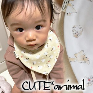 { ʋCocOK[[I X^C  ̎q j̎q oYj 悾ꂩ@Mtg { K[[8dK[[灜[֑ Vv􉤊 NE @CJ