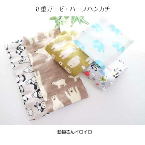 {?@ K[[ nJ` q@ct ۈ牀 nJ` j̎q ̎q y8dK[[^CvzԂ @n[t ܁@X^[@ӂӂ̃K[[ ȂĂĂɂ