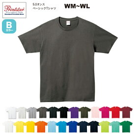【2枚買って割引クーポン】5.0オンス ベーシックTシャツ WM~WL #00086-DMT 無地 Bカラー 039オートミール~401オフホワイト