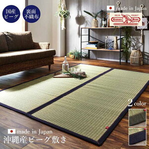 �y���[�J�[�����i�z����r�[�O�~���@128×200cm�y�������O �����J�[�y�b�g �}�b�g ������� ���Y �l�C�r�[ �J�[�L ���{�� ����~�� ���ׂ�~�ߕt�� �� ���z �����z�� ���z���z