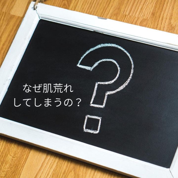 24セット 潤いシルクの抗菌インナーマスク 1枚入 424499 楽天市場】メール便可 抗菌 潤いシルクのインナーマスク 1枚入