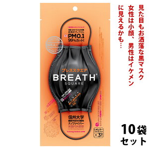 (3x10܃Zbg) 荢 4w\ @\ sDz}XN uXVo[ }XN uXXNGA (BREATH SILVER SQUARE) uX}XN im}XN I~N v[c}XN 傫  g