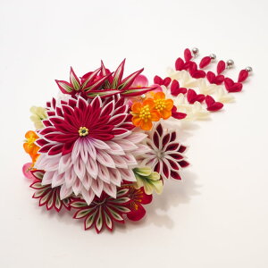  l U    a Ǝ  wAANZT[ nhCh ` ܂ݍ׍H  ÓT _ AP-003yv~AzR[t1_