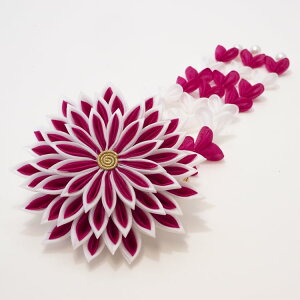  l U    a Ǝ  wAANZT[ nhCh ÓT _ ܂ݍ׍H ` a a R[t AW-008yaz