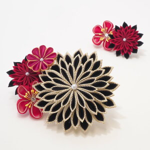  l U     a Ǝ  wAANZT[ nhCh ÓT _ ܂ݍ׍H ` a a R[t Us AW-024yaz