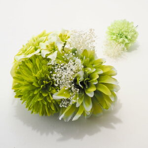  l U    a Ǝ  wAANZT[ nhCh _ m wbhhX EGfBO uC_ p[eB[ AY-002ymzR[t1_EUs