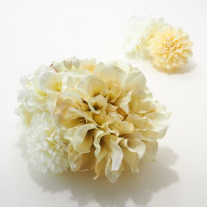  l U    a Ǝ  wAANZT[ nhCh _ m wbhhX EGfBO uC_ p[eB[ AY-007ymzR[t1_EUs