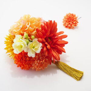  l U IW   a Ǝ  wAANZT[ nhCh _ m wbhhX EGfBO uC_ p[eB[ AY-017ymzR[t1_