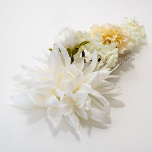  l U    a Ǝ  wAANZT[ nhCh _ m wbhhX EGfBO uC_ p[eB[ AY-039ymzR[t1_