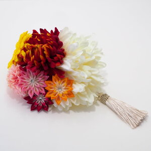  l U     a Ǝ  wAANZT[ nhCh _ m wbhhX EGfBO uC_ p[eB[ AY-043ymzR[t1_EU