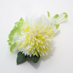  l U O[   a Ǝ  wAANZT[ nhCh _ m wbhhX EGfBO uC_ p[eB[ AY-046ymzR[t1_