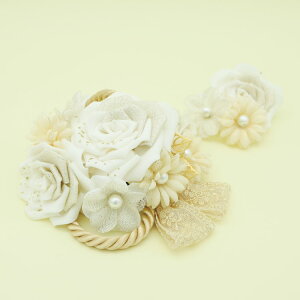  l U    a Ǝ  wAANZT[ nhCh _ m wbhhX EGfBO uC_ p[eB[ dy-107ymz