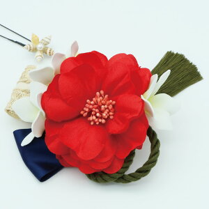  l U    a Ǝ  wAANZT[ nhCh _ m wbhhX EGfBO uC_ p[eB[ dy-115ymz