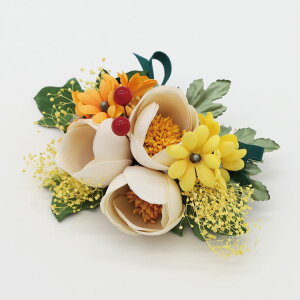  l U    a Ǝ  wAANZT[ nhCh _ m wbhhX EGfBO uC_ p[eB[ dy-204ymz